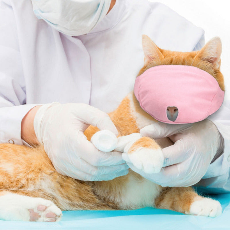 Bozales De Nailon Transpirables Para Gatos Mascarillas