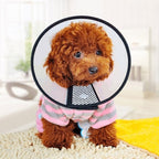Cono Ajustable Para Perro, Collar De Recuperación  Mascotas