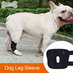 Ferula Perro Mascota Dog Almoha