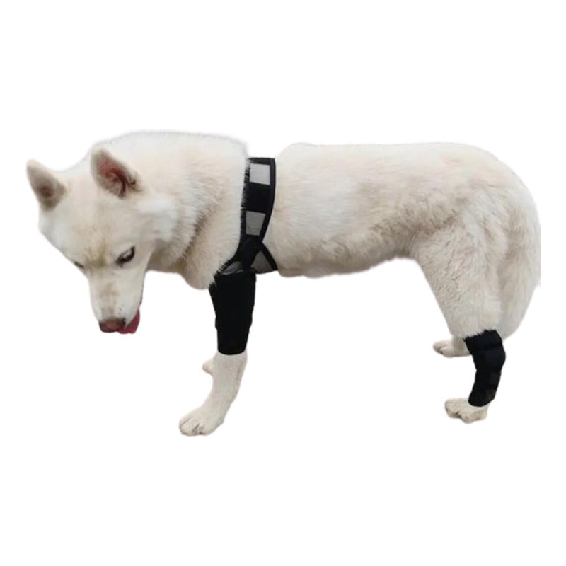 Ferula Tirantes Para Piernas De Perro, Soporte Para Cuidado