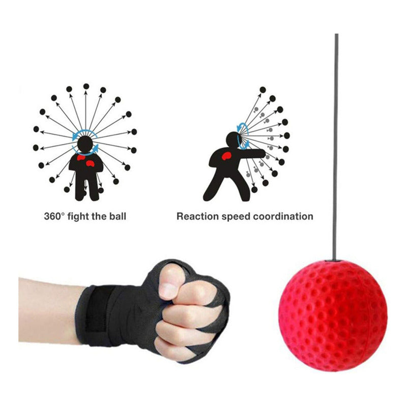 Bolas De Velocidad De Boxeo, Equipo De Boxeo De Fitness