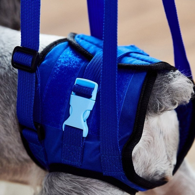 Arnés De Elevación Ajustable Para Perros Pierna Trasera