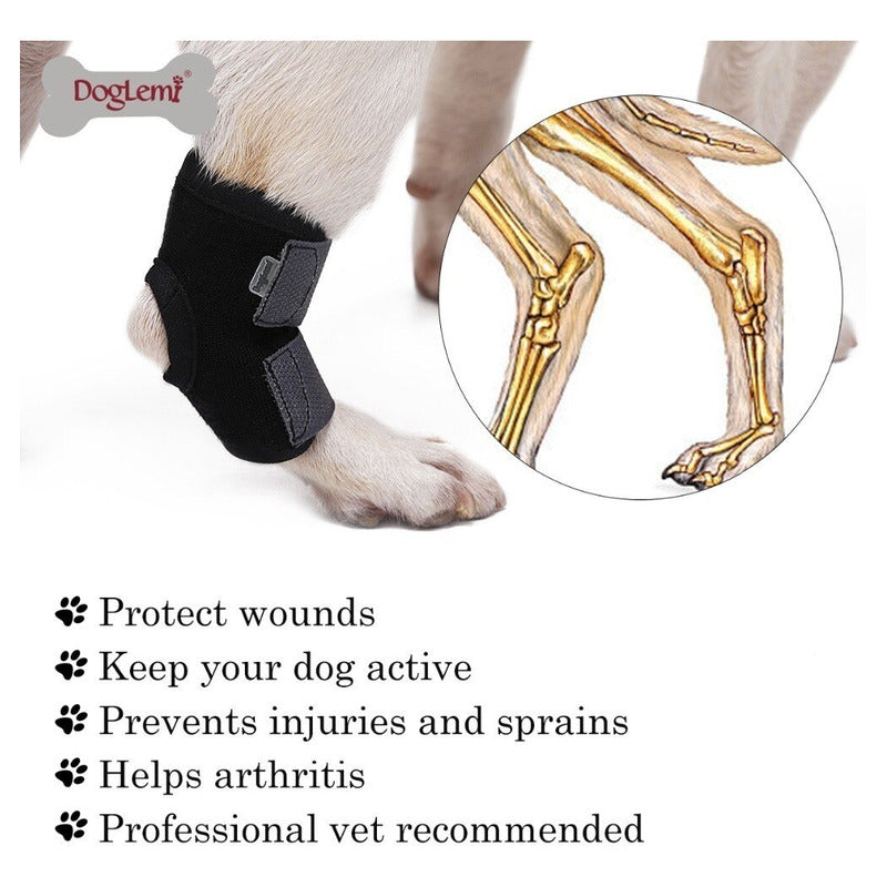 Vendajes Para Perro Mascota Dog