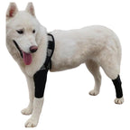 Ferula Tirantes Para Piernas De Perro, Soporte Para Cuidado