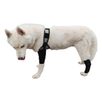Ferula Tirantes Para Piernas De Perro, Soporte Para Cuidado