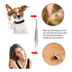 Kit De 6 Unidades De Herramientas  Perros Y Gatos Limpieza