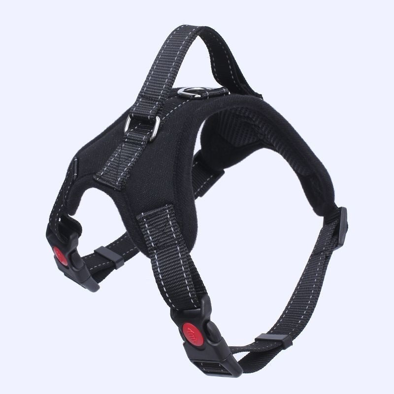 Arnes Para Mascotas Collar Ajustable Acolchado