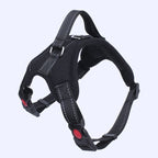 Arnes Para Mascotas Collar Ajustable Acolchado