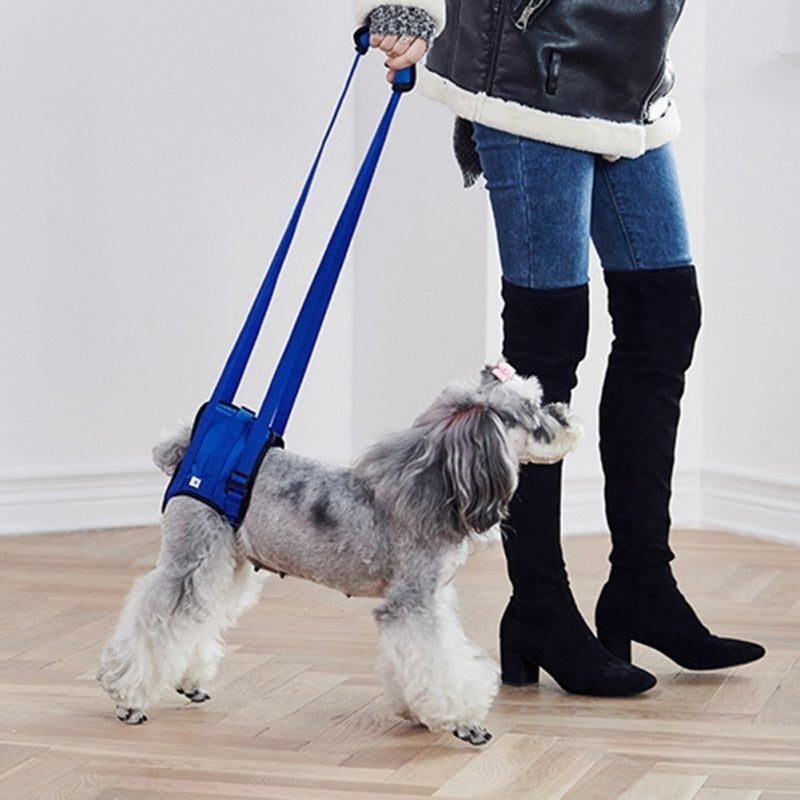 Arnés De Elevación Ajustable Para Perros Pierna Trasera