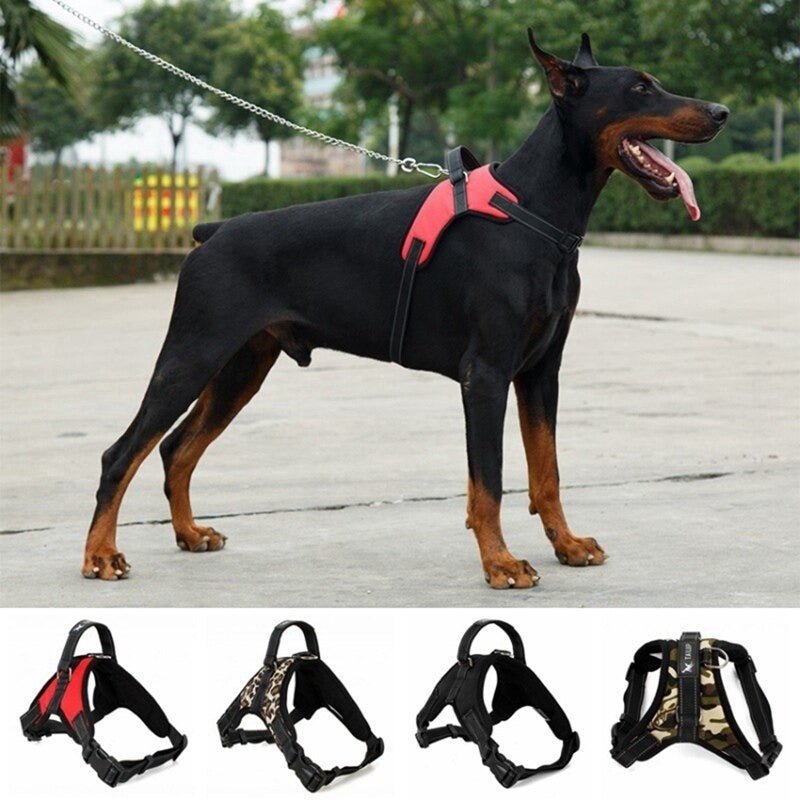 Arnes Para Mascotas Collar Ajustable Acolchado - Image 2